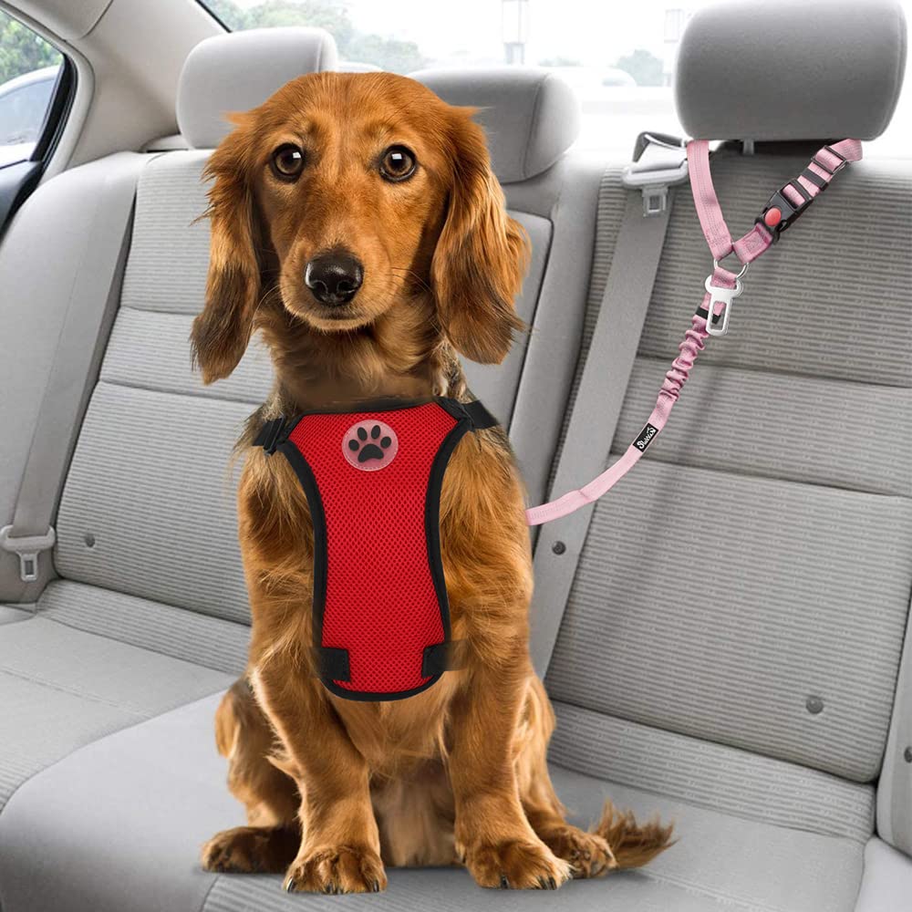 SlowTon uso versátil con funda de asiento o como correa para mascotas.