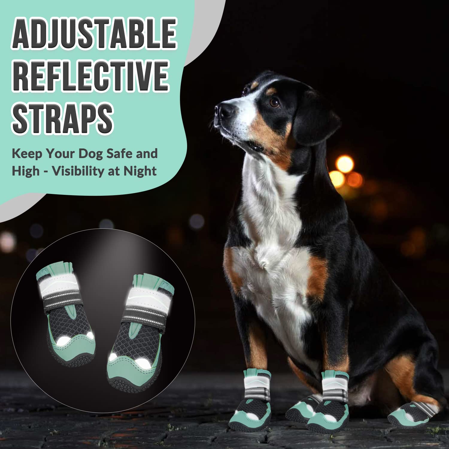 Uso exterior y nocturno con SlowTon para perros activos