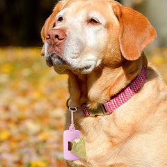 SLSON dispensador suave evita golpes durante caminatas y actividades al aire libre.