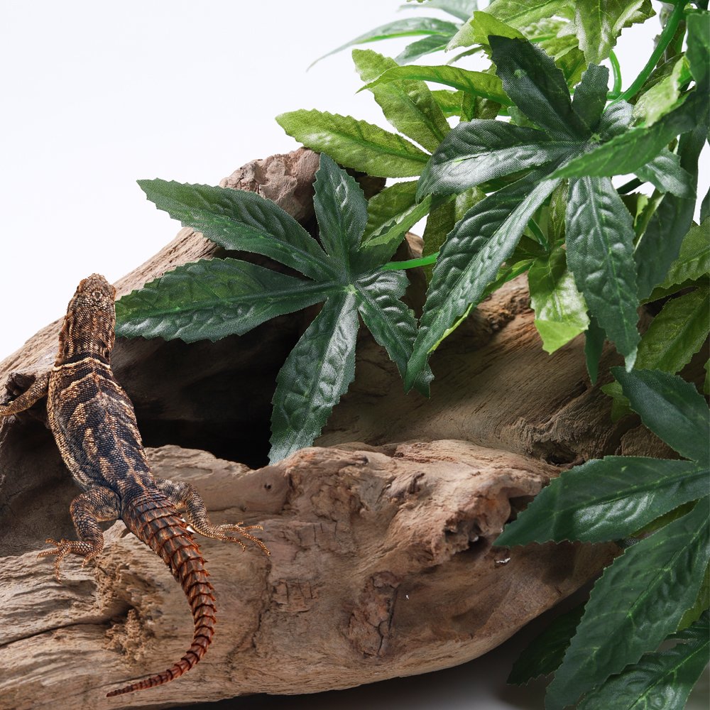 SLSON adorno habitat reptil con planta colgante verde, más ambiente natural.