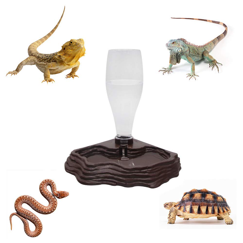 SLSON bebederos para tortugas y geckos mantiene agua limpia y accesible.