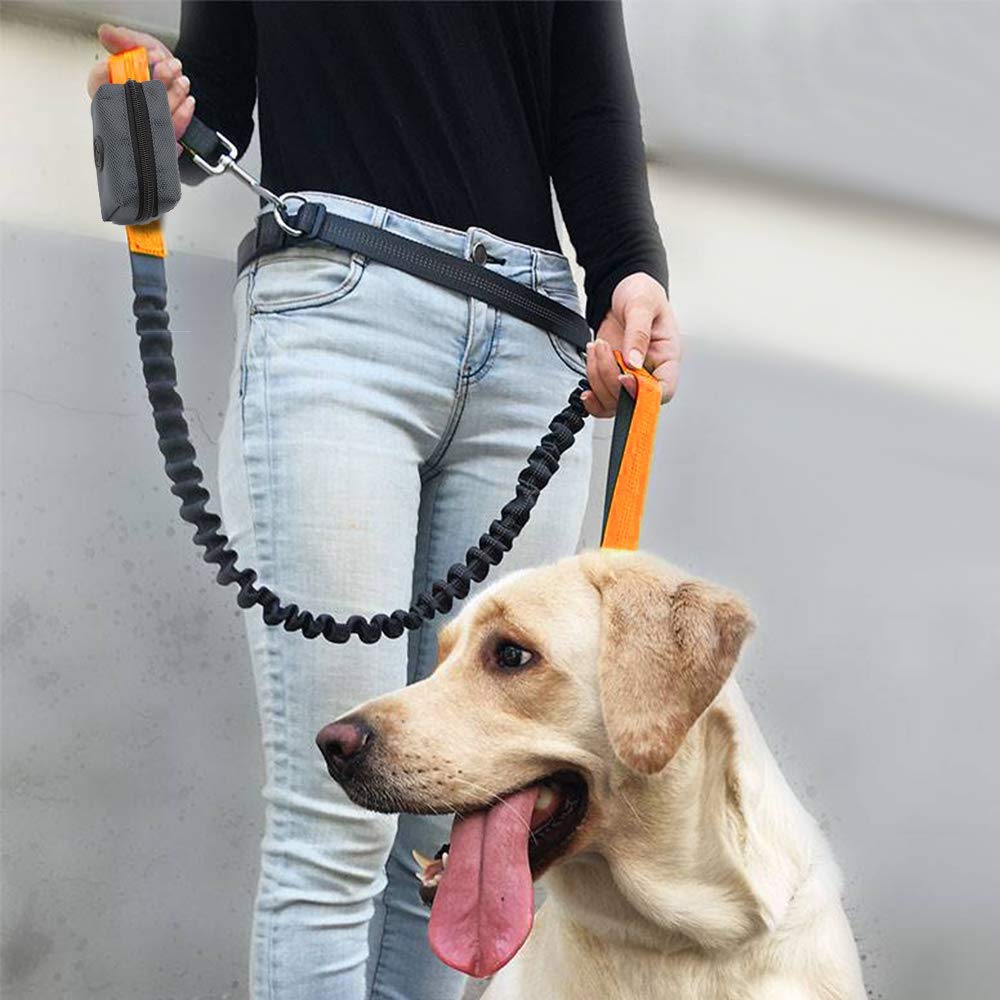 SLSON dispensador portátil para excursiones, perfecto para perros durante el día.