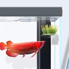 SLSON estante acrílico transparente para pecera, realza la decoración subacuática.