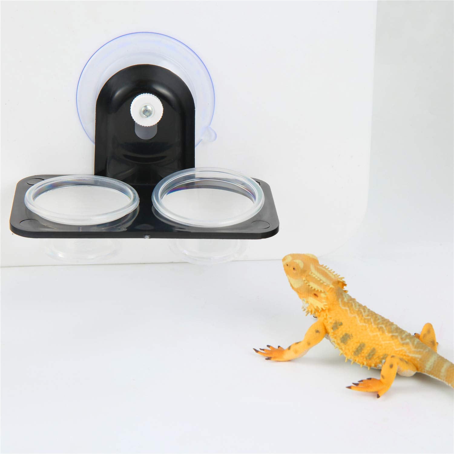 SLSON Gecko Feeder Ledge apto para reptiles pequeños como geckos.