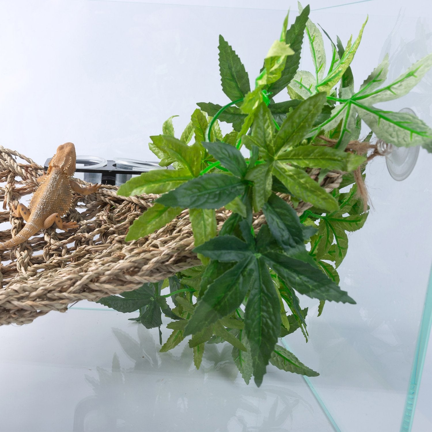 SLSON planta reptil de 12 pulgadas, instalación sencilla con sujeción ventosa.