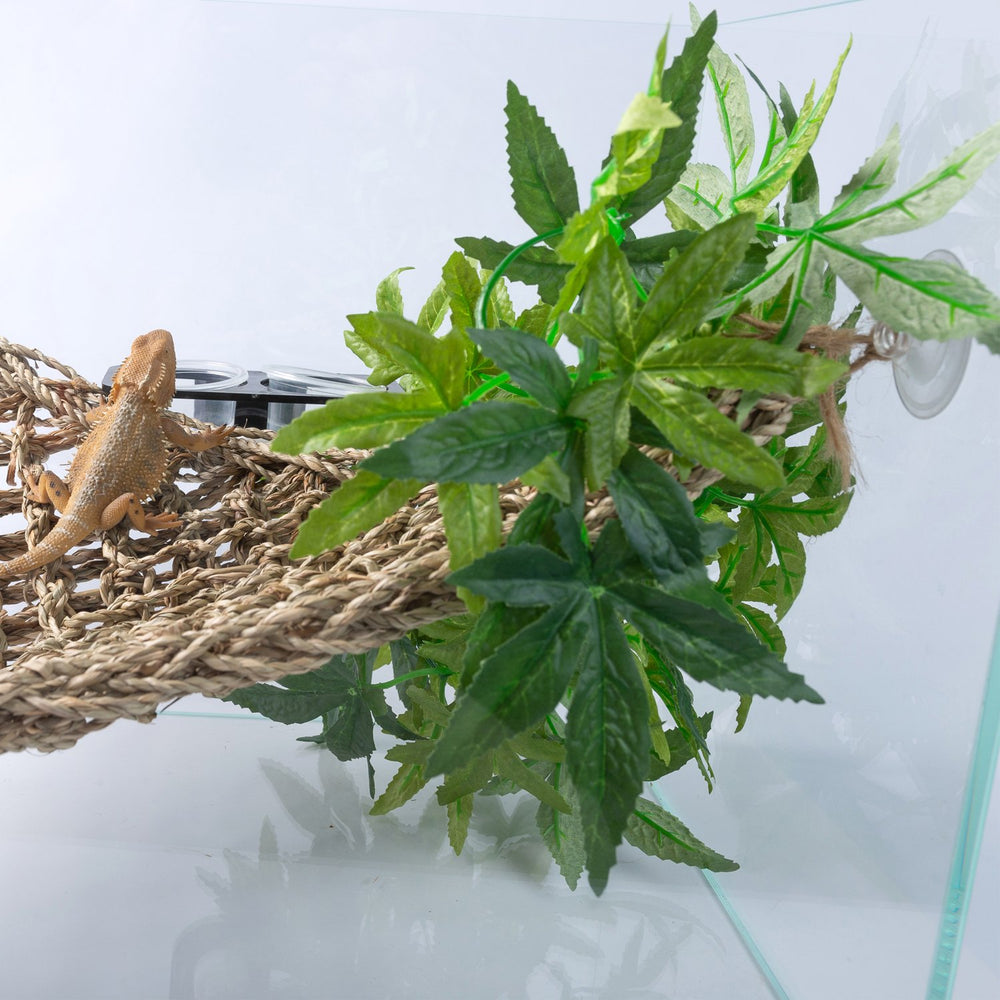 SLSON planta reptil de 12 pulgadas, instalación sencilla con sujeción ventosa.