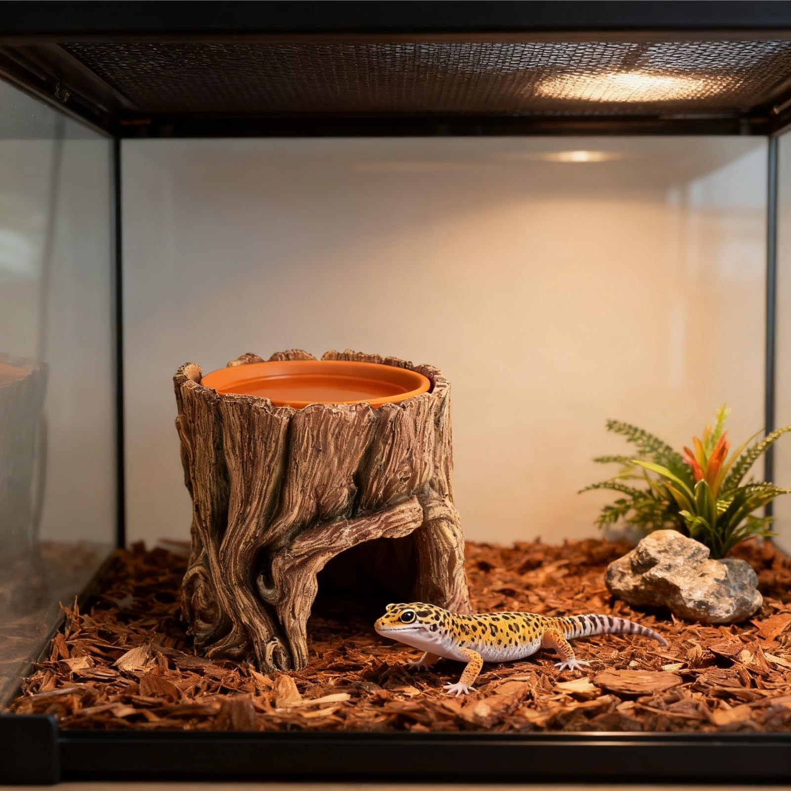 SLWHYZL refugio para lagarto leopardo favorece exploración y descanso