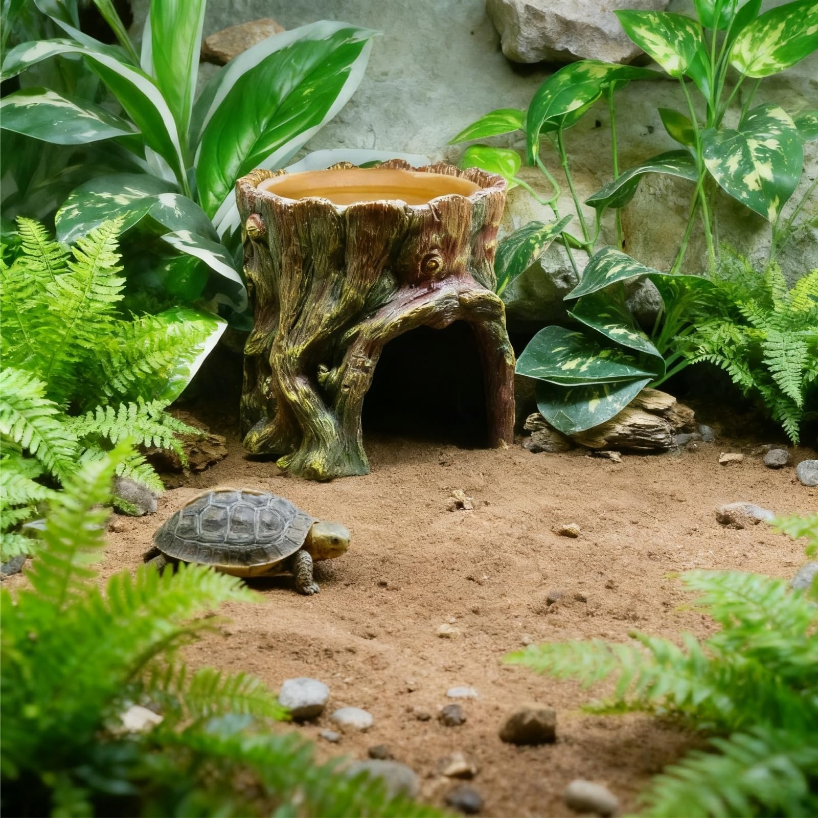 SLWHYZL refugio para tortuga en hábitat seguro