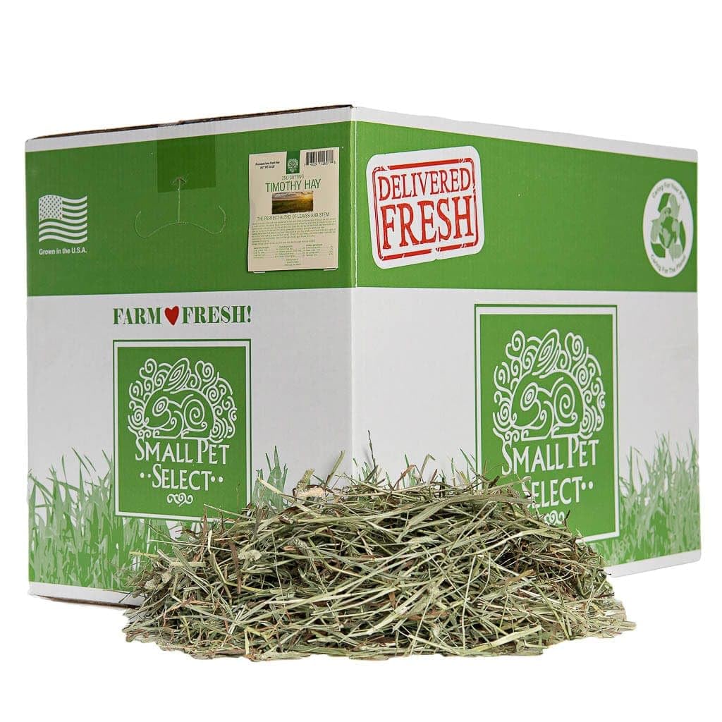 Small Pet Select 2ª Segada Timothy hay: caja fresca para desgaste dental.