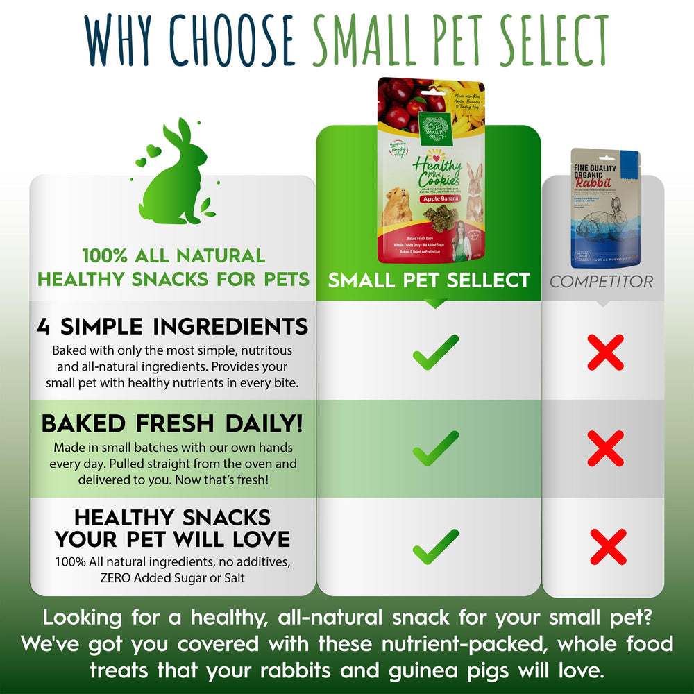 Small Pet Select bocaditos de avena y heno para enriquecimiento de mascotas pequeñas