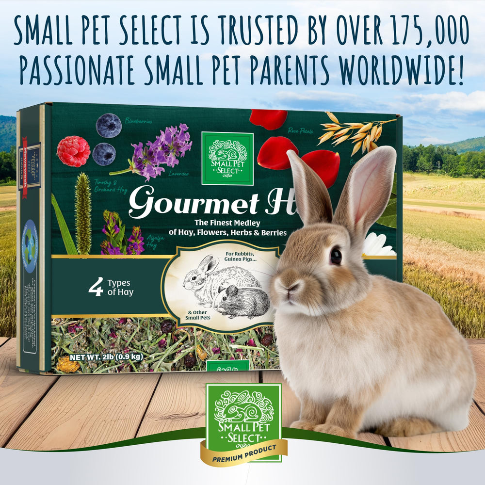Small Pet Select bolsa de 2 libras heno gourmet, facilidad para rotar la ración.