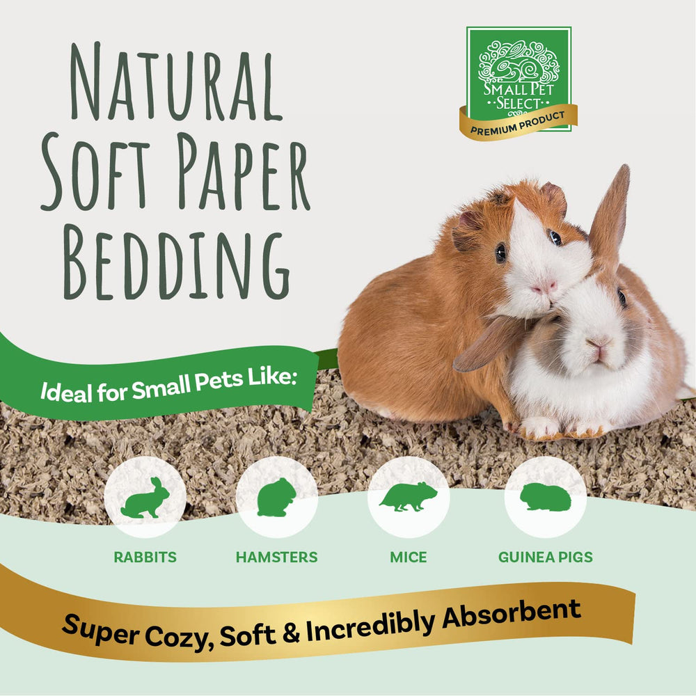 Small Pet Select en hábitat de roedores, espacio limpio y cómodo