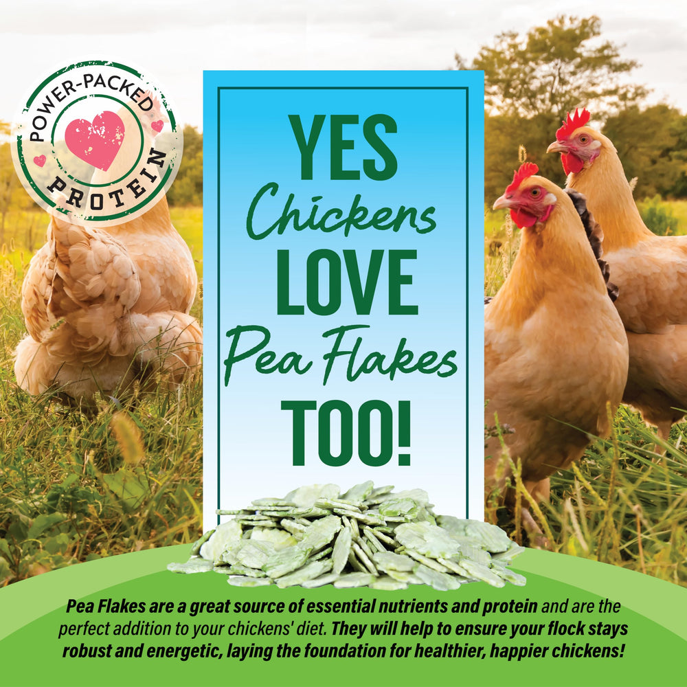 Small Pet Select flocons-pois-poules : enrichissement et nutrition complémentaire pour poules