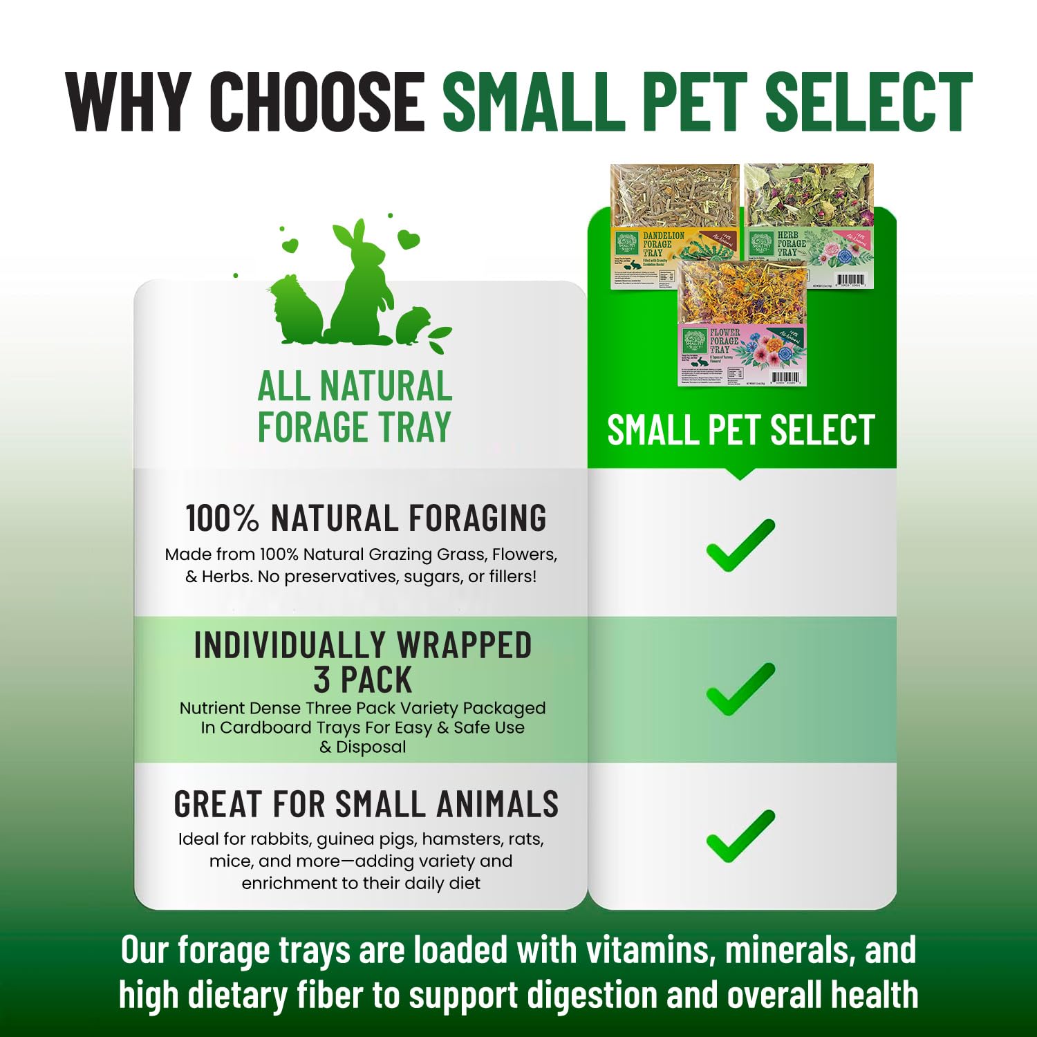 Small Pet Select Forage Tray en hábitat: acceso directo para exploración diaria.