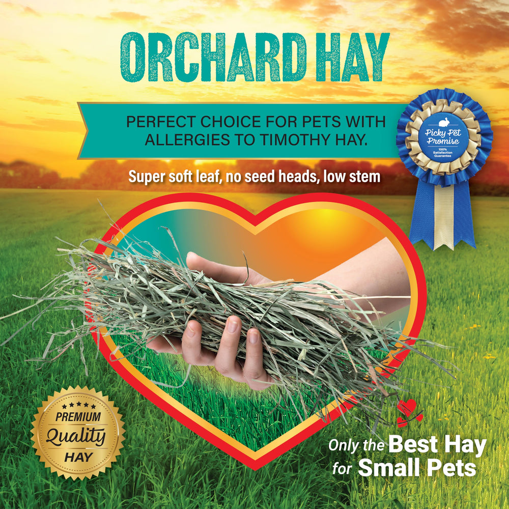 Small Pet Select heno de huerta, mascota come con gusto y variedad.