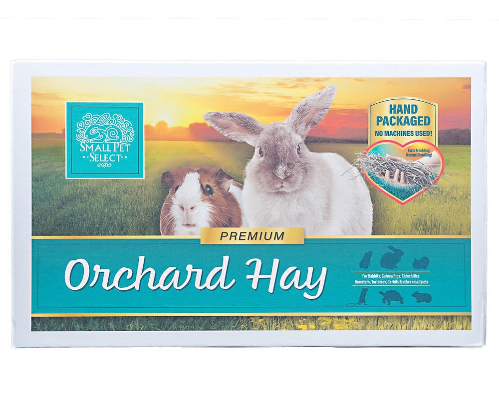 Primer plano del heno de pasto de huerto verde y fragante de Small Pet Select