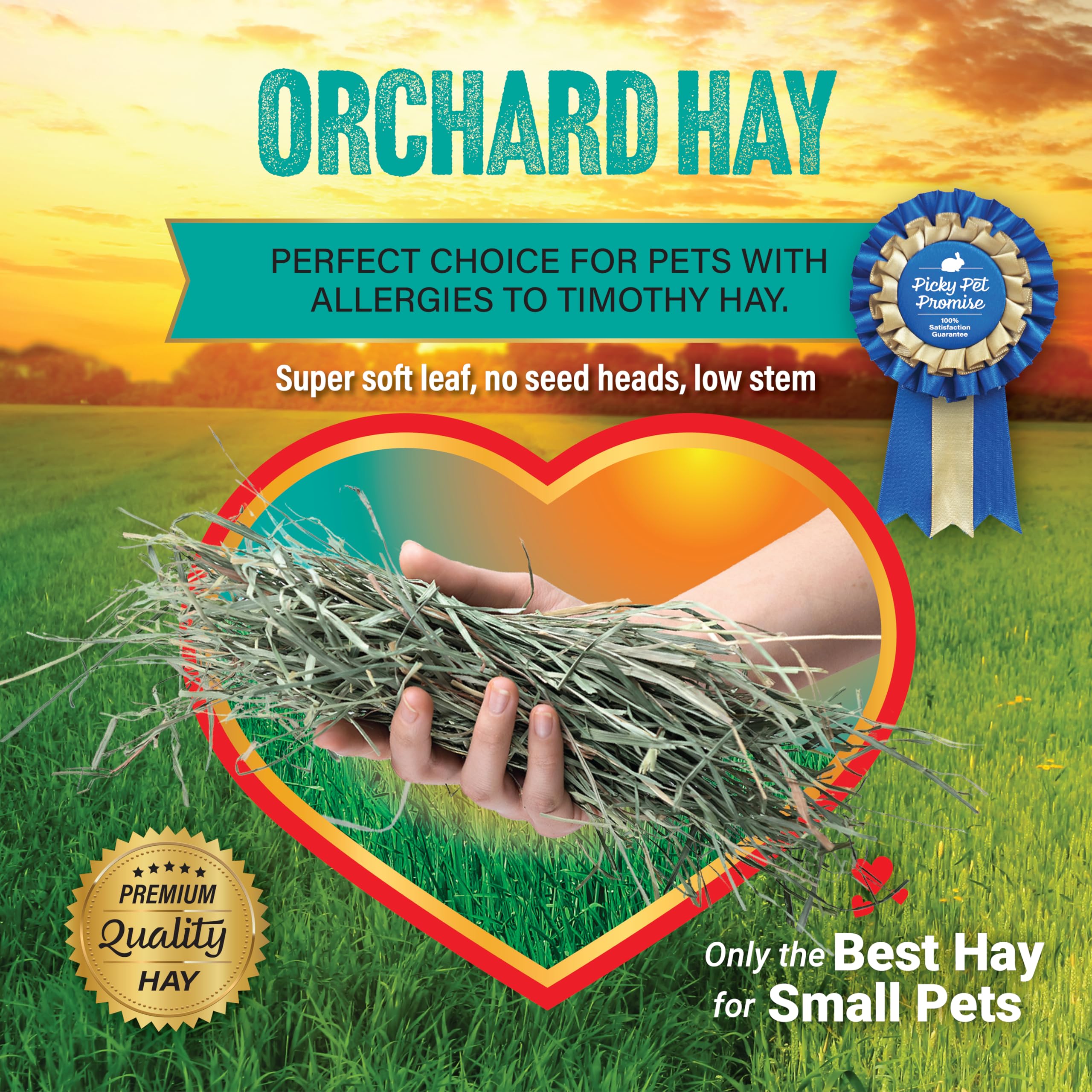 Heno de pradera de Small Pet Select con aroma dulce que agrada a las mascotas