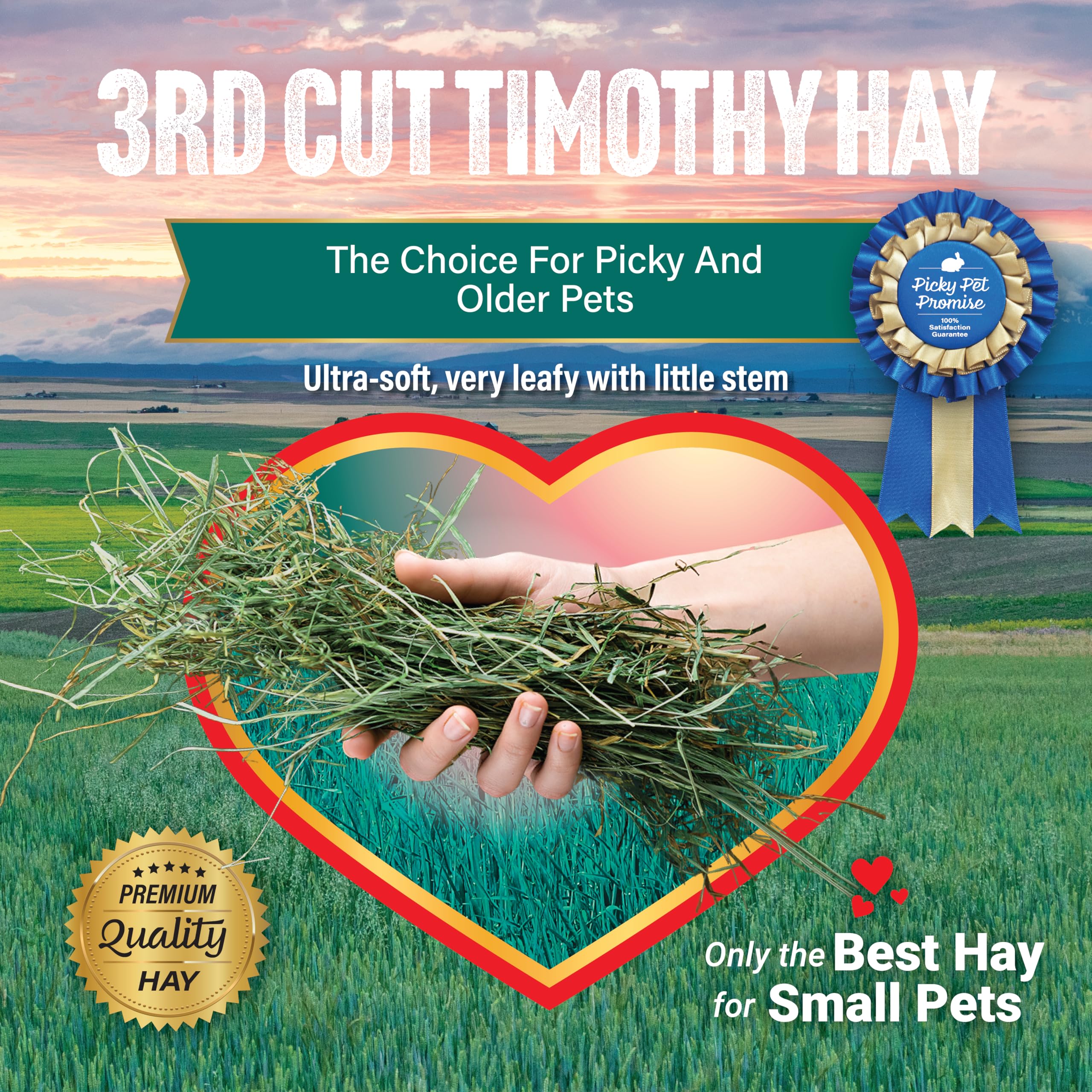 Small Pet Select Heno Timothy 3ª Corte Ganancia de peso 20 libras: útil para mascotas que necesitan subir de peso