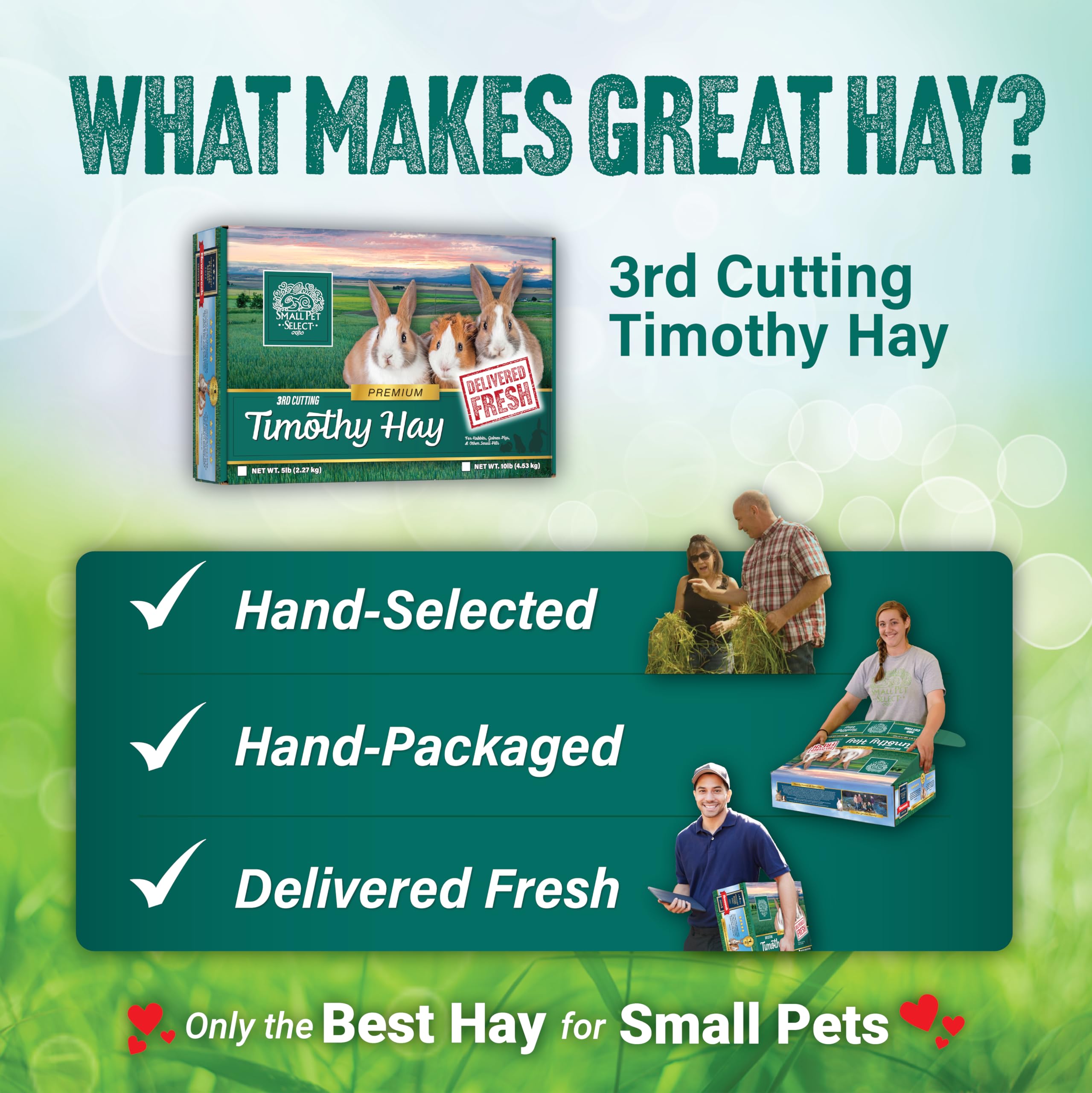 Cama suave y enriquecimiento con Small Pet Select heno Timothy terc corte.