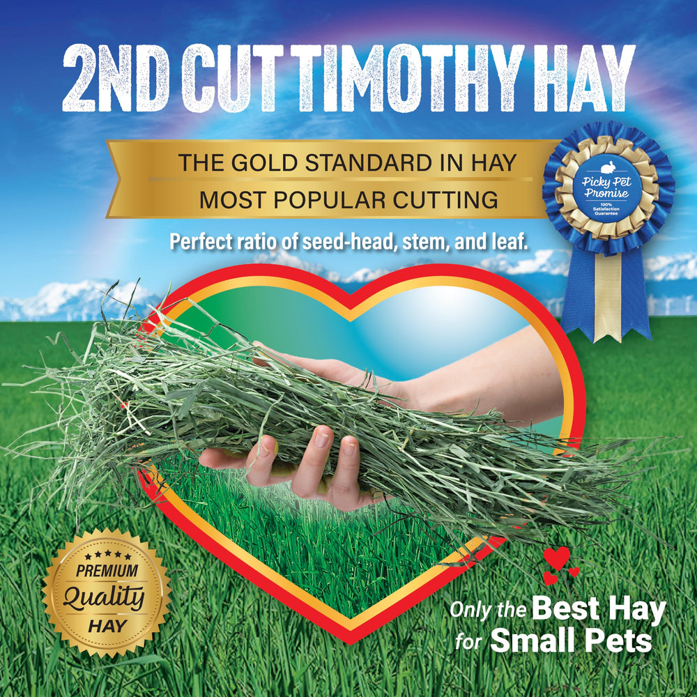 Small Pet Select heno Timothy para consumo diario y apoyo dental suave.