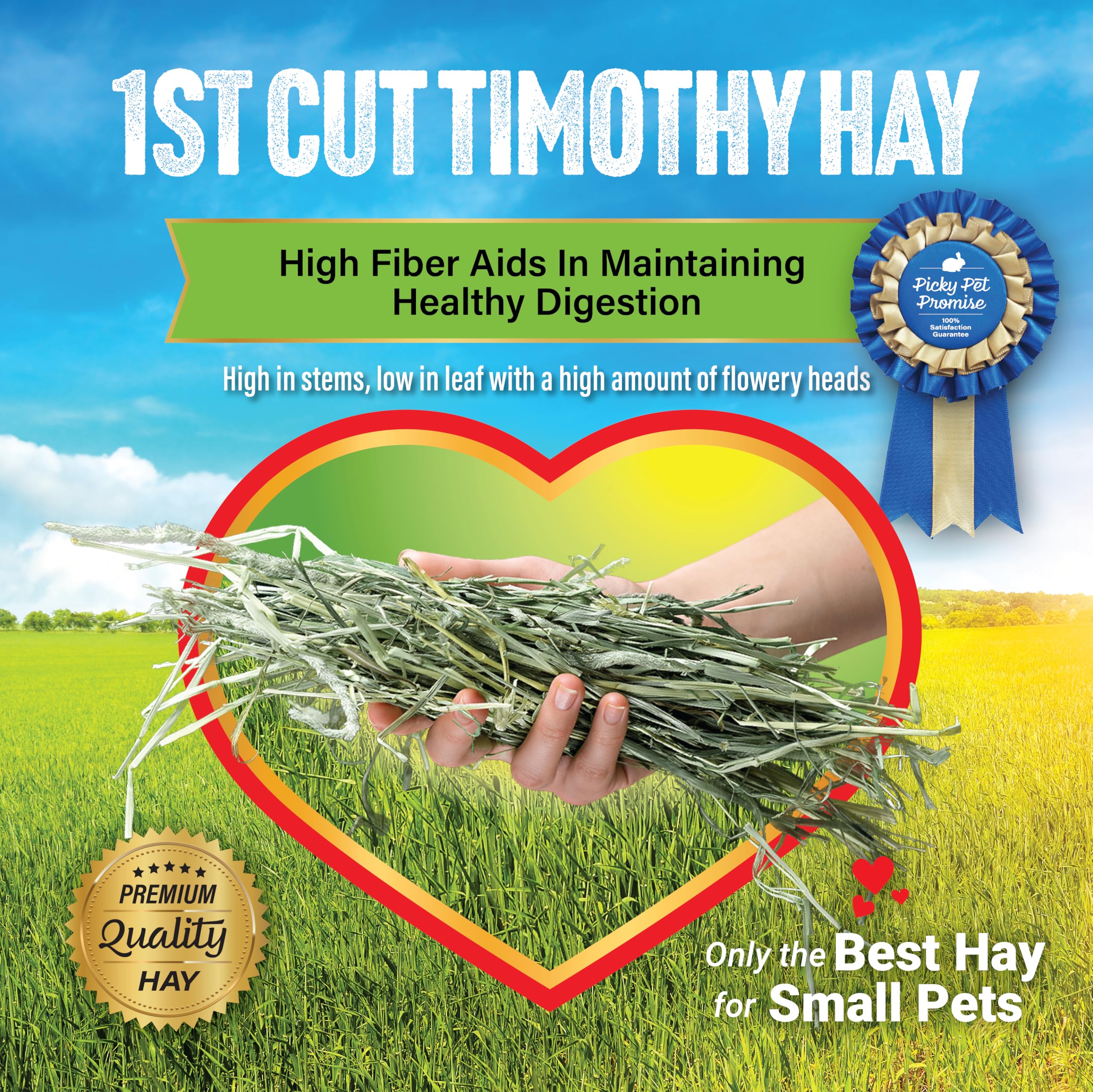 Small Pet Select heno Timothy, textura firme, para desgaste dental natural.