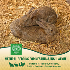 Small Pet Select: textura aireada favorece buena ventilación en la jaula.
