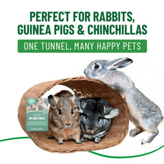 Small Pet Select ofrece enriquecimiento: túnel jumbo fomenta exploración y juego