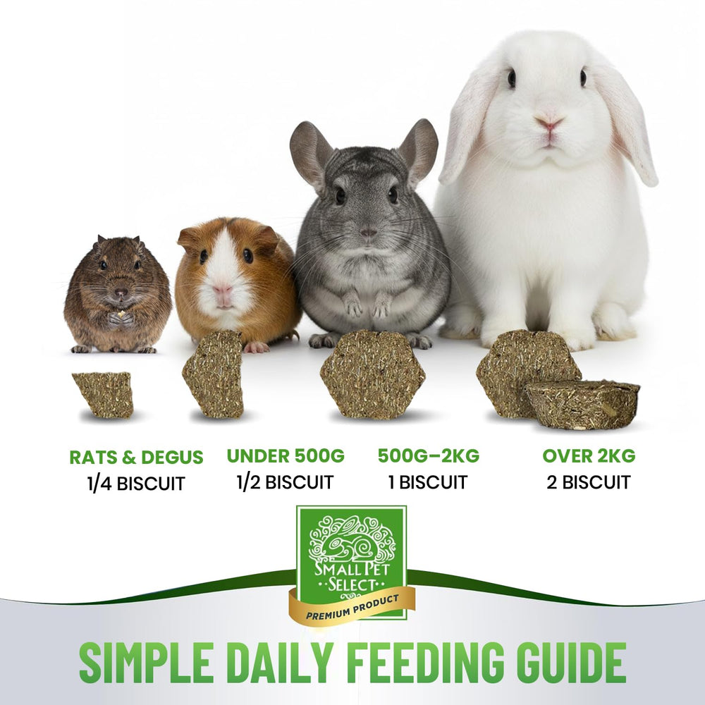 Small Pet Select vitamina C y glucosamina, complemento para bienestar continuo.
