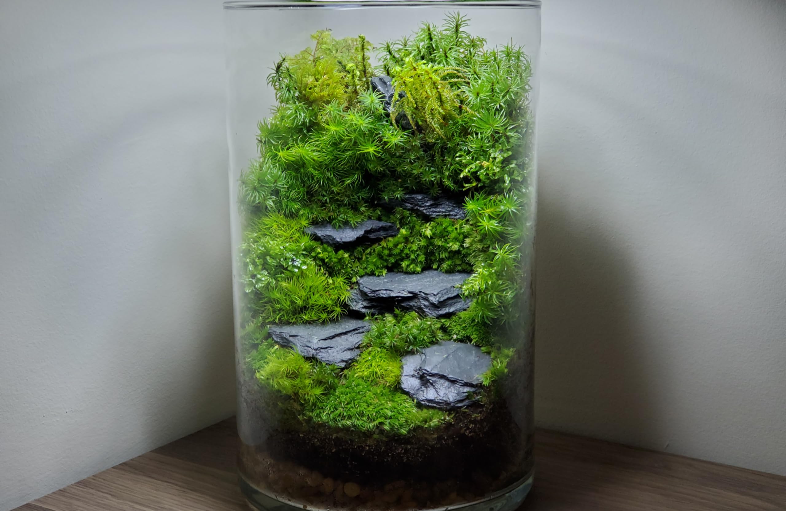 Small World Slate & Stone: pizarra para reptiles, crea refugios y zonas de descanso