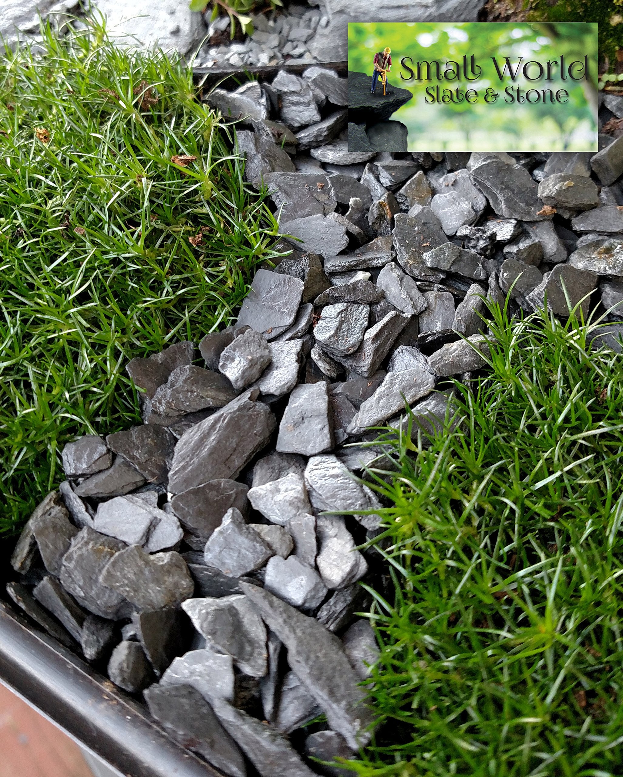 Small World Slate & Stone grava de tamaño 1/4-1/2 pulgadas para acuarios.