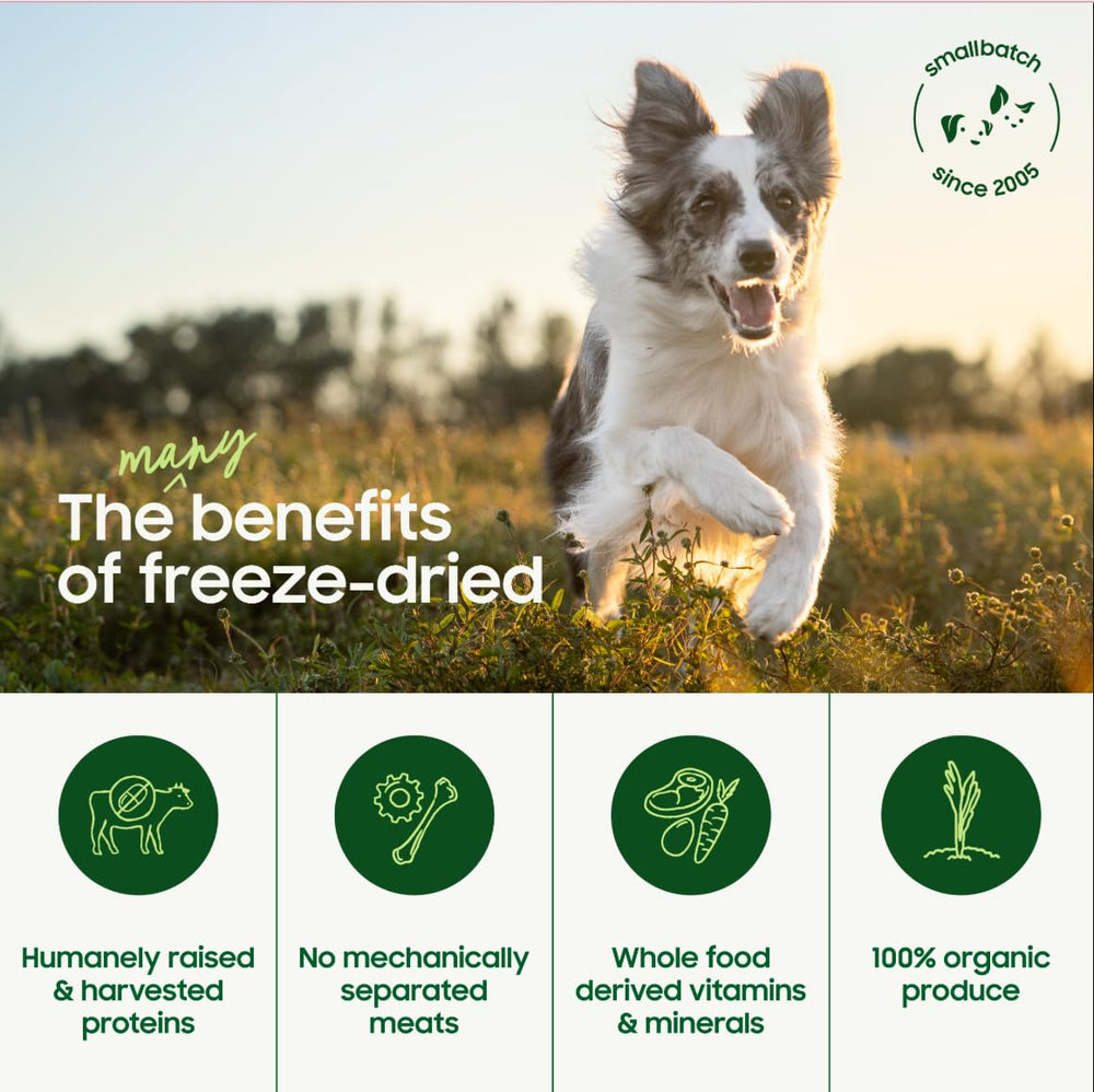 Smallbatch Pets: res alimentada con pasto para proteína natural