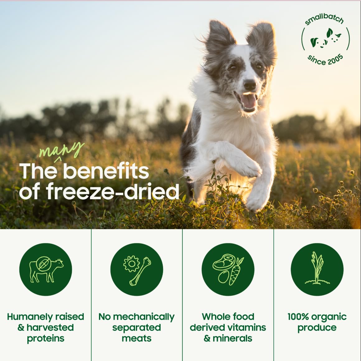 Smallbatch Pets topping para enriquecer la comida del perro.