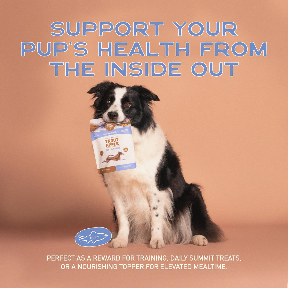 Smart Cookie hecho en EE. UU. con ingredientes reales para perros