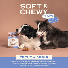 Smart Cookie premios entrenamiento Trucha y Manzana para perros con estómago sensible