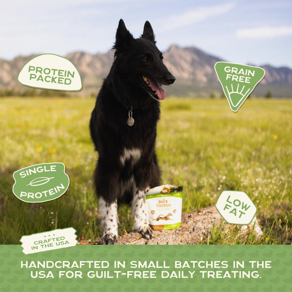 Smart Cookie premios hechos en EE. UU. en bolsa de 5 oz.