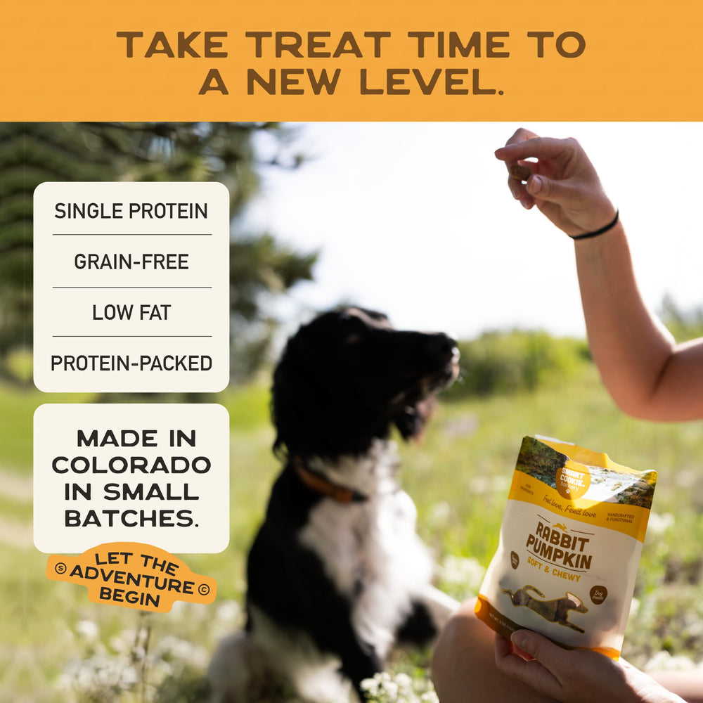 Smart Cookie adaptées à toutes tailles et races de chiens