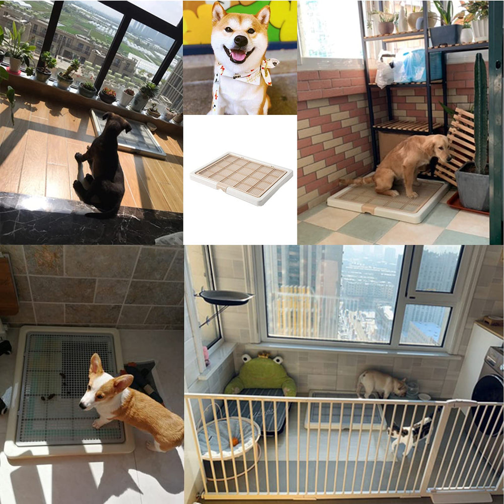 Smart Paws uso interior con pads de entrenamiento.