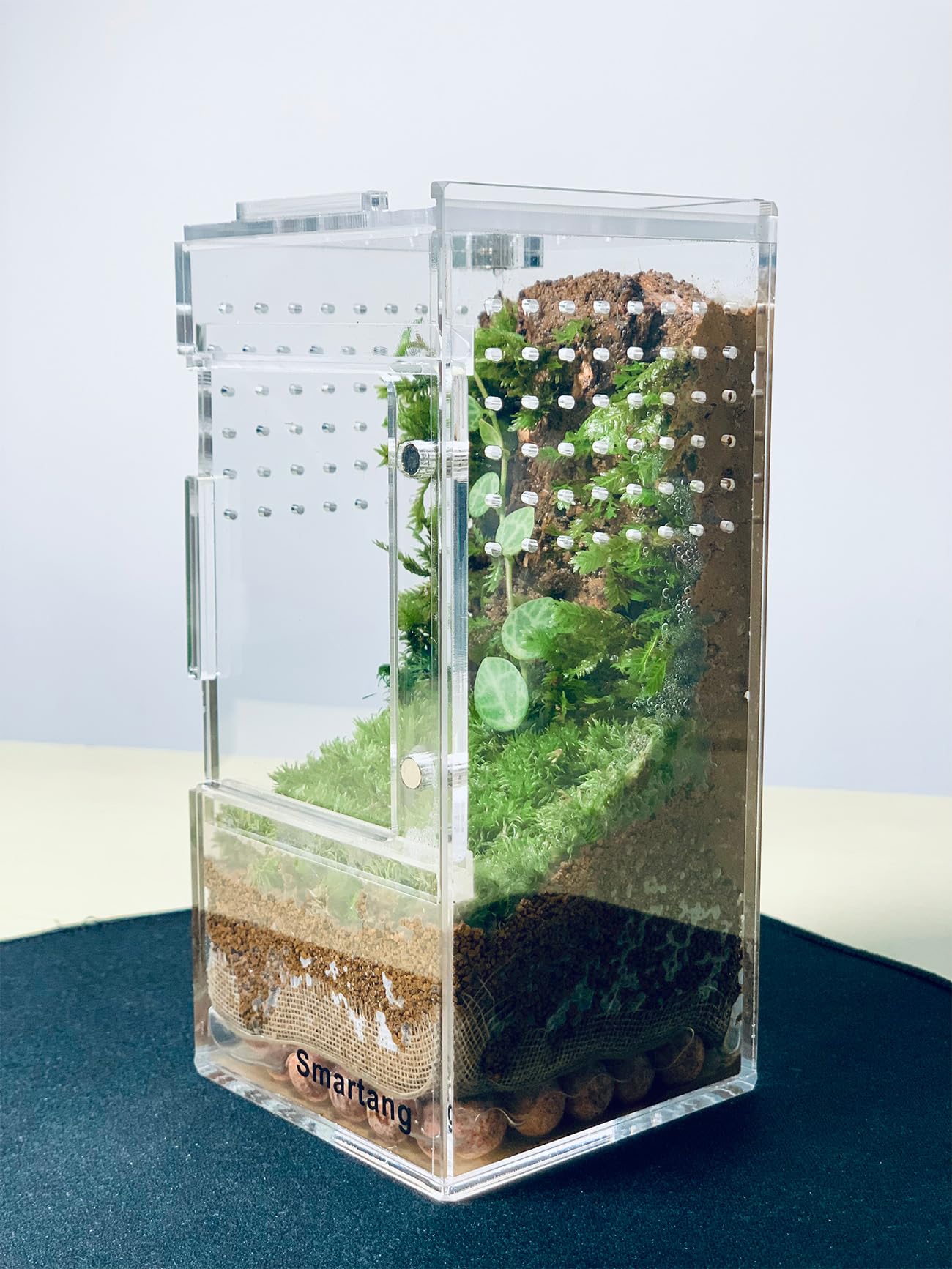 Diseño de doble puerta Smartang, frente y techo para alimentación y decoración.