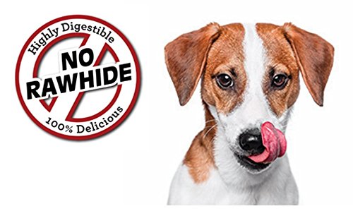 SmartBones DoubleTime mini: masticación de larga duración para perros activos