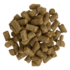 SmartEquine Equi Treats sabor Pastel de Zanahoria, premio sabroso para caballos