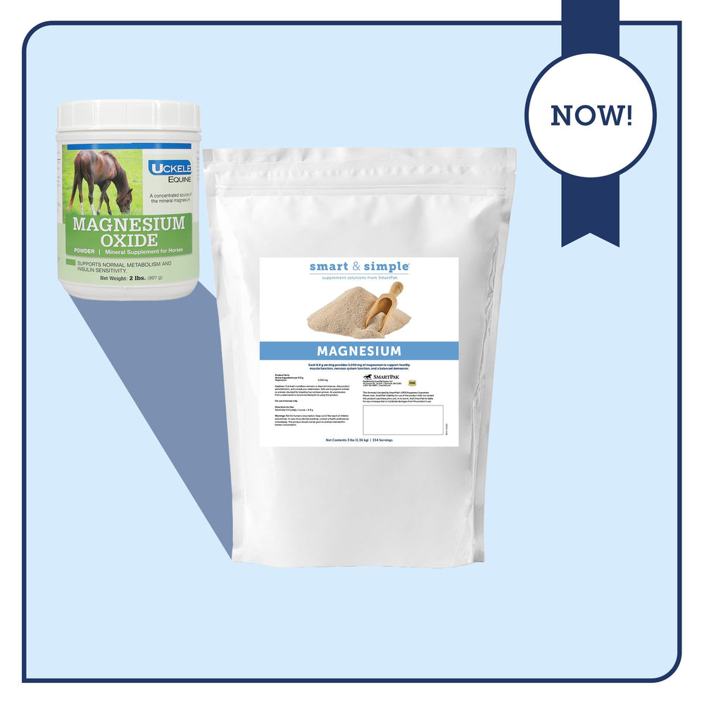 SmartEquine Magnesium - caballo consumiendo la ración para una rutina diaria.