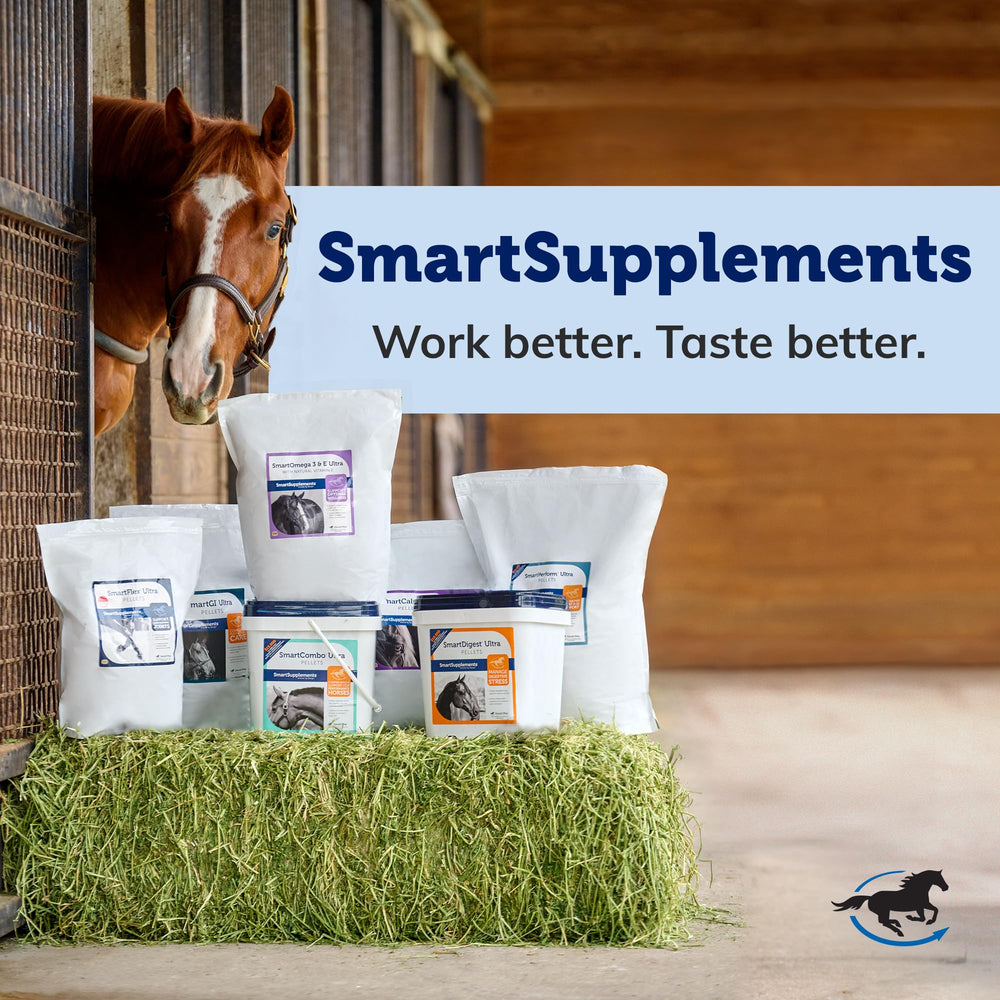 SmartEquine OutSmart repelente de insectos para caballos y jinete en el campo.