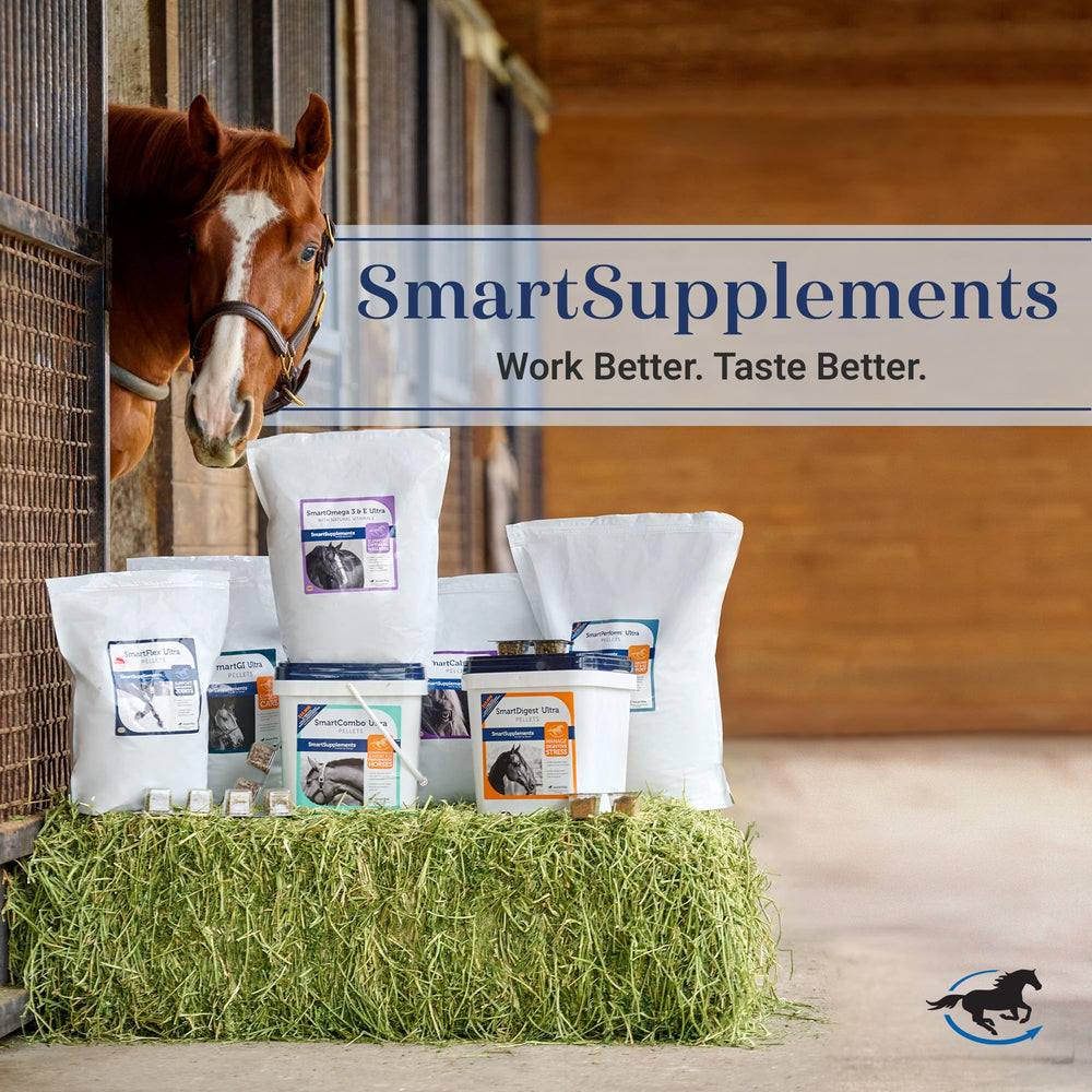 Pack de 6 tubos de Pasta SmartLytes para caballos