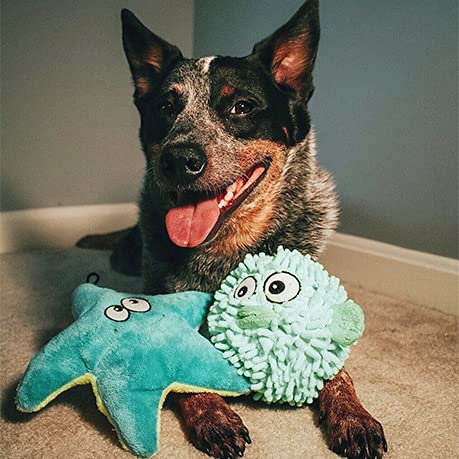 SmartPetLove Snuggle Puppy Tender-Tuffs Ball diseño suave para abrazos