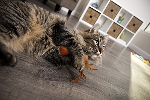Juego SmartyKat para gatos y gatitos, mejora la interacción entre tú y tu mascota.