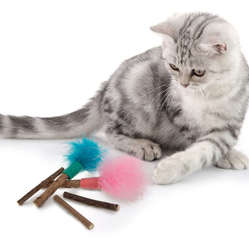 SmartyKat Silly Silver Stix: diseño seguro y sostenible para hogares con mascotas.