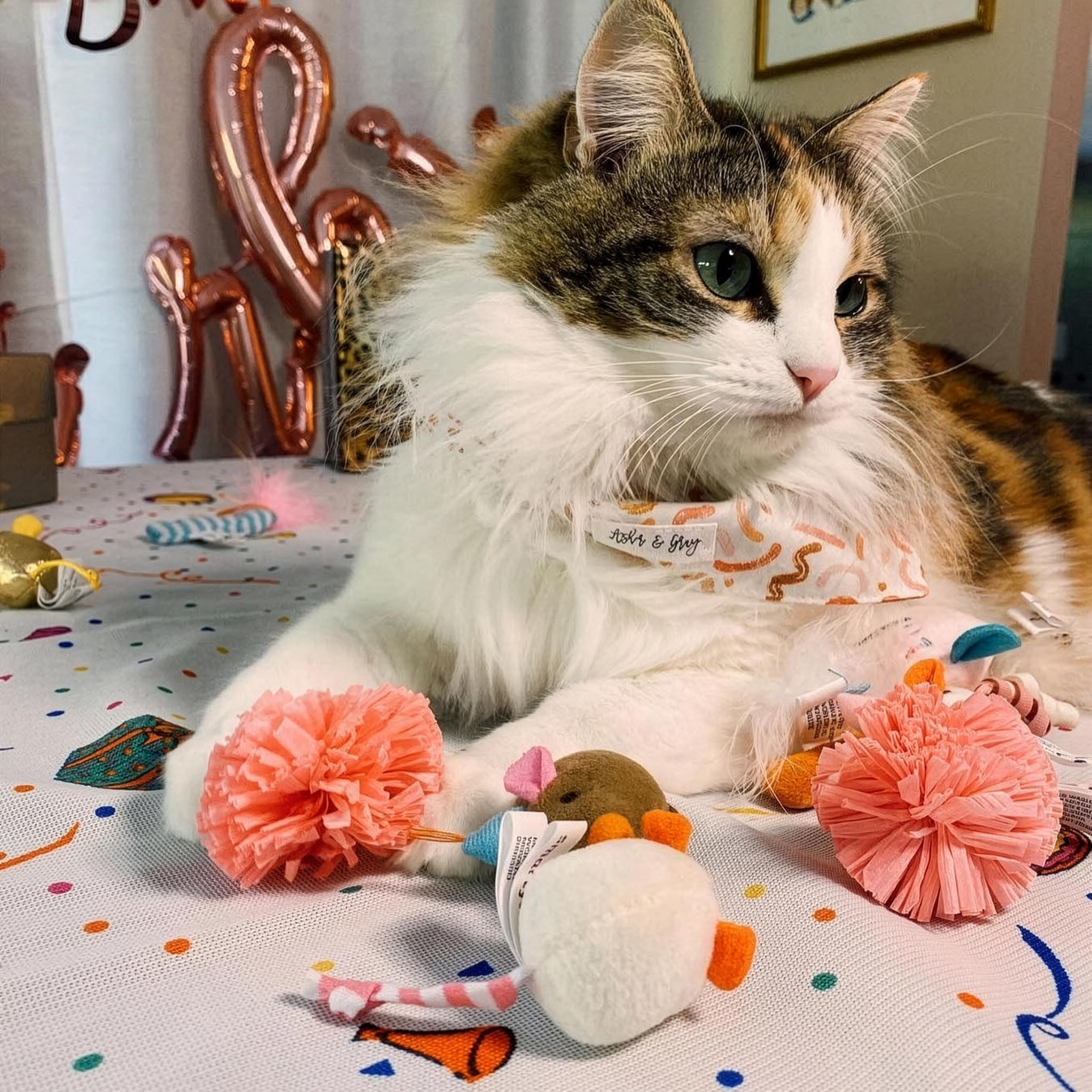 SmartyKat Fiesta Cumpleaños Juguete Juego de 16, ofrece variedad para sesiones largas