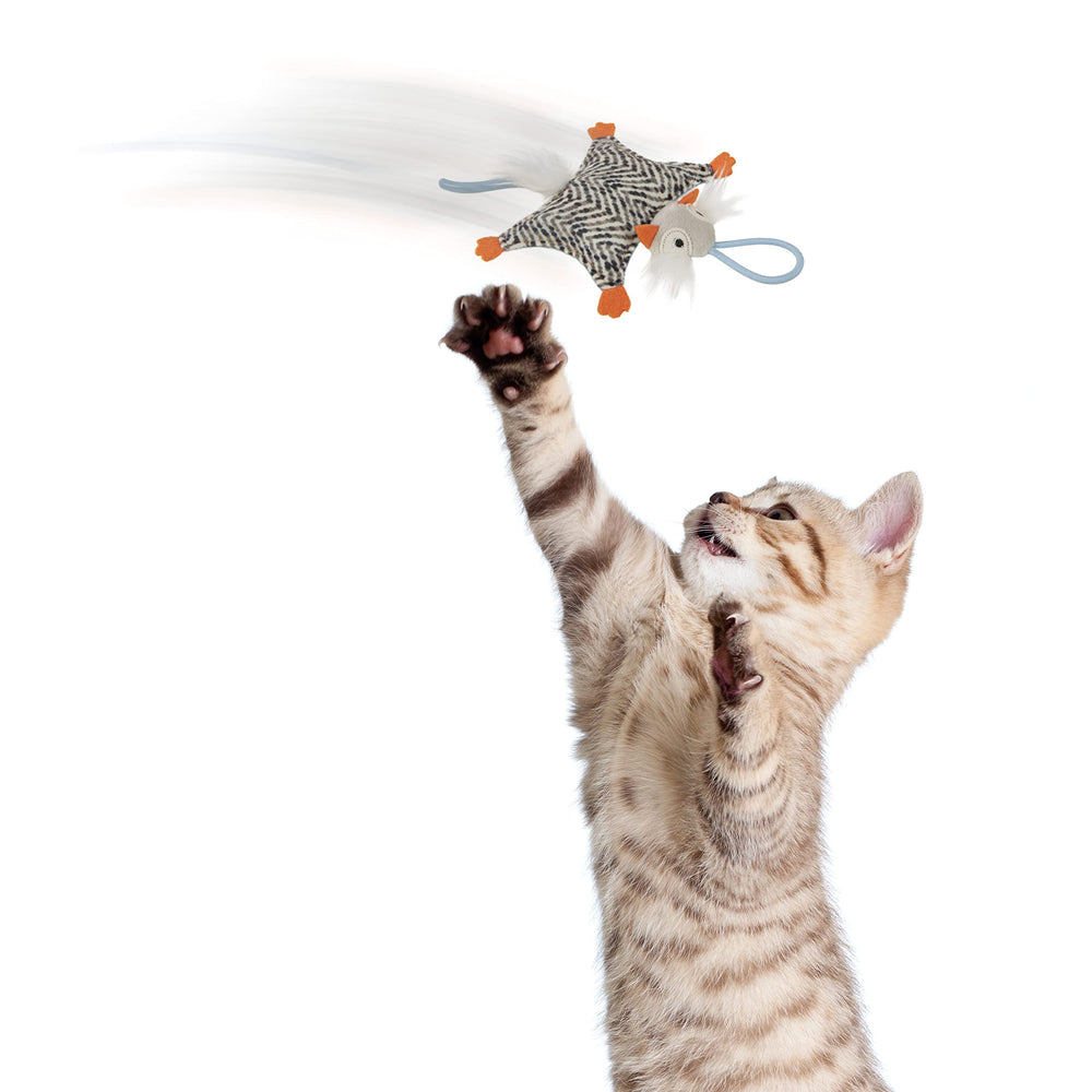 Instincts by SmartyKat Soarin' Squirrel, textura crinkle que inspira curiosidad.