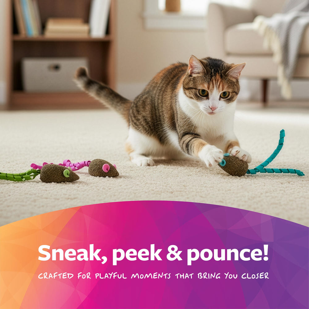 SmartyKat ratón mágico para hogares con varios gatos, entretenimiento compartido.