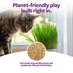Envase reciclable de SmartyKat Sweet Greens para un hogar más sostenible